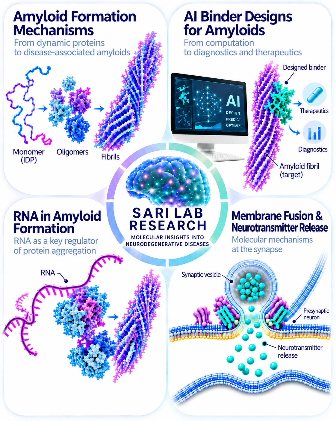 Sari Lab research overview showing amyloid formation mechanisms, AI binder designs for amyloids, RNA in amyloid formation, and membrane fusion mechanisms in neurotransmitter release