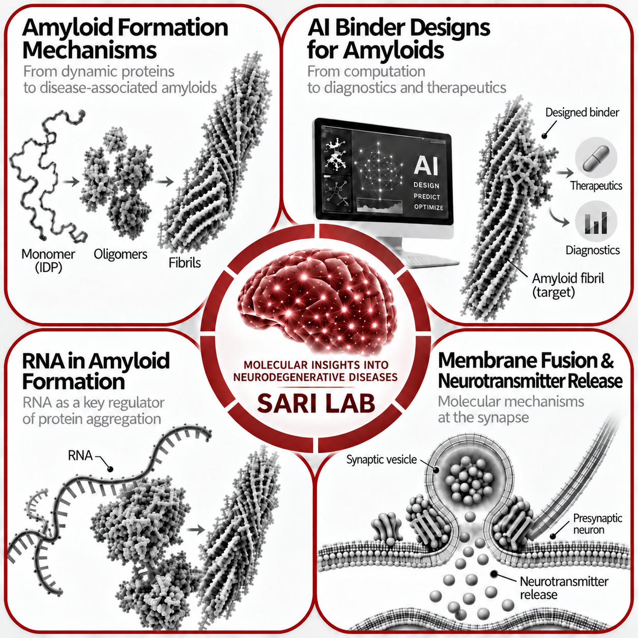 Sari Lab research overview showing amyloid formation mechanisms, AI binder designs for amyloids, RNA in amyloid formation, and membrane fusion mechanisms in neurotransmitter release